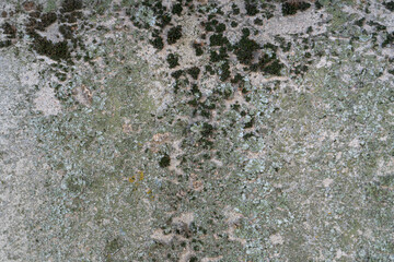 The texture of a stone wall, floors, concrete destruction, overgrown with moss and grass of antiquity, the foundations of building reinforcement and ceilings, chips, paint stains