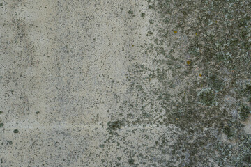 The texture of a stone wall, floors, concrete destruction, overgrown with moss and grass of antiquity, the foundations of building reinforcement and ceilings, chips, paint stains