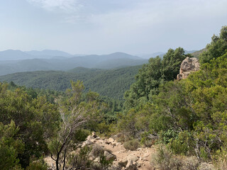 Montagnes avec arbres sur le GR20 Sud