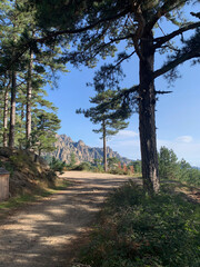 Aiguilles de Bavella