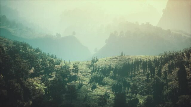 autumn forest on green rocky hills