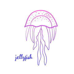 Doodle, hand drawn jellyfish icon, illustration for sea life design.