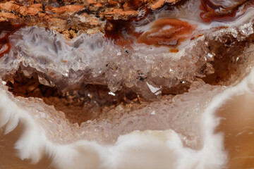 Macro mineral stone agate kidney gerbera on white background close up