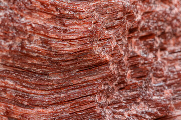 Macro mineral stone Bull eye, tiger's eye in the breed on a white background