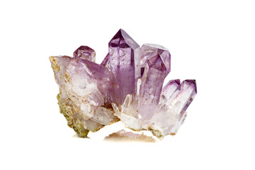 Amethyst Crystal Druse  macro mineral on white background