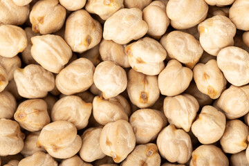 Uncooked chickpea background texture. Full frame Cicer arietinum