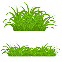 Fresh Green Grass Elements for Spring Design. Illustration on White Background. Grass with Refractions, Natural Border for Decoration in Your Works