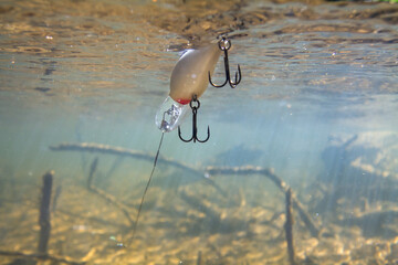 a fat light wobbler moves on the surface of river water - Powered by Adobe