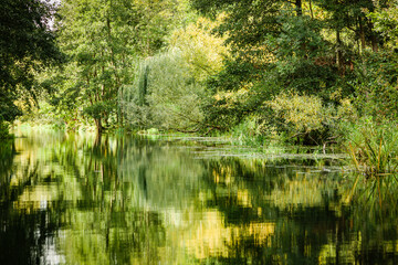 Fototapeta na wymiar Auf der Spree im Spreewald, märchenhafter Wald mit Spiegelung im Wasser