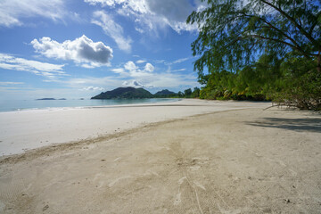 beach, tropical beach, seychelles, anse volbert, cote d'or, sun, tropical island,  water, palm tree, palms, granite rocks, palm trees, palm, sand, rocks, postcard,   tropical, scenic, praslin, island,