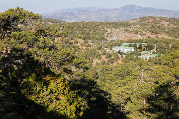 Fototapeta na wymiar Berge in der bewaldeten Landschaft der Insel Zypern im Troodos Gebirge