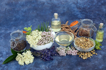 Calming herbs used in natural; healing herbal plant medicine, valerian, st johns wort, ashwagandha,...