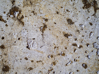 textured old gray concrete background stained with beige stucco with scratches and holes.