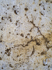 textured old gray concrete background stained with beige stucco with scratches and holes.