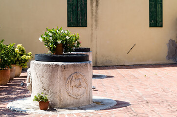 Flowers on the Four Wells Square