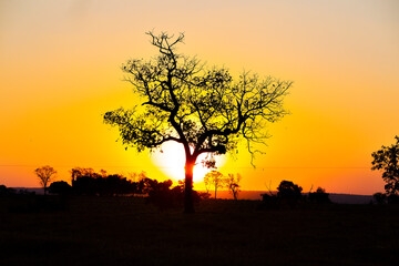 sunset in the serengeti country