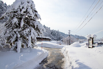 雪国の景色　除雪された道