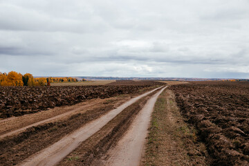 the road between the plowed fields, going into the distance, autumn landscape on the background