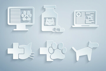 Set Veterinary clinic, Clinical record dog on laptop, , Dog, Cat medicine bottle and pills and pet monitor icon. Vector