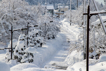 雪国の景色　除雪された道