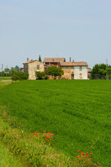 Fototapeta na wymiar Old farm near Carpaneto Piacentino, Piacenza province, Emilia-Romagna