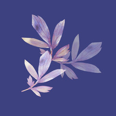 eony branch.Seamless pattern.Watercolor illustration.