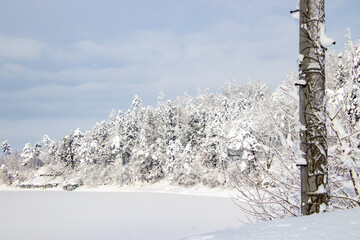 Obraz premium 一面雪の積もった湖