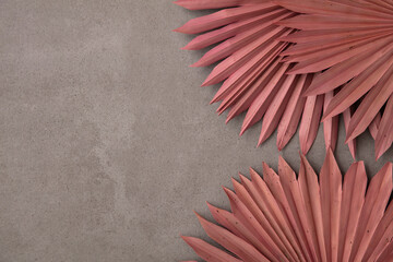 Dried pink tropical palm tree leaf boho style fashionable decoration on a concrete background