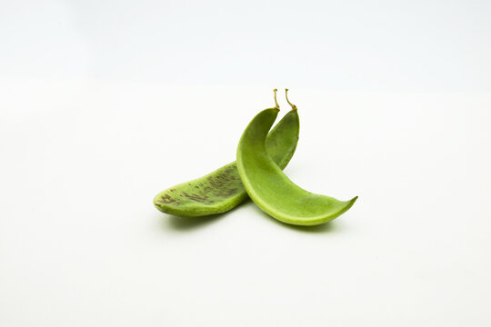 Pods called "Garrof&oacute;" or Lima bean (Phaseolus lunatus) typical of Valencian paella (Spain)
