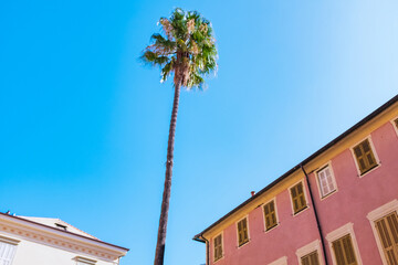 Beautiful Streets in Alassio, Italy