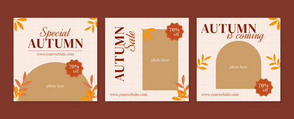 Autumn fashion sale promotion social media Instagram story post vector illustration