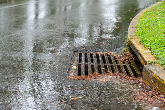 Metal storm drain during a rain event with leaves and needles starting to buildup around the edges
