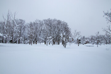 真冬の雪景色