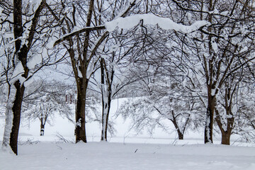 真冬の雪景色