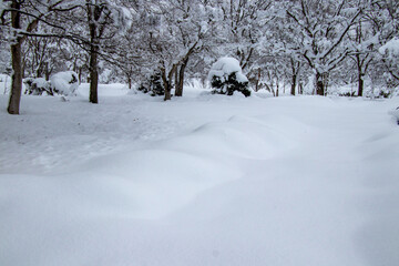 真冬の雪景色