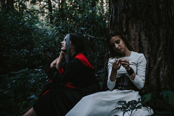 Fototapeta premium girl in a historical dress in a coniferous forest