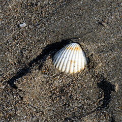 dépôts bord de mer - rivage 