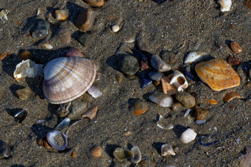 dépôts bord de mer - rivage 
