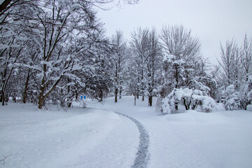 雪の中の一本道