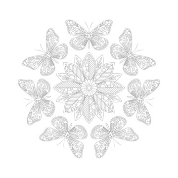 Coloring page for for children and adults. Mandala butterfly.