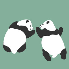 Cute twin baby pandas sleeping facing each other. isolated green background. Whole body. social media post, copy space, square, vector illustration, animal
