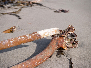 rusty anchor