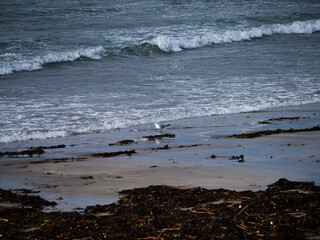 waves on the beach