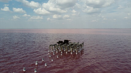 View of the salty pink lake Sasyk-Sivash near the city of Evpatoria in Crimea
