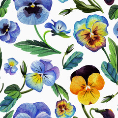 Watercolor seamless pattern with garden pansy flowers (violets).
Romantic texture for holidays, paper, textiles.