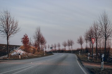 Fototapeta premium road in winter