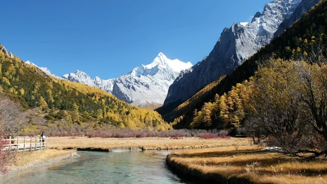 Shangri-La of Chana Dorje mountain with colorful pine forest in autumn at Yading nature reserve