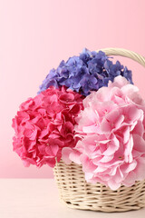 Fototapeta na wymiar Bouquet with beautiful hortensia flowers in wicker basket on white wooden table