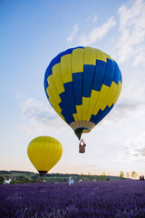 air balloon with basket above lavender field