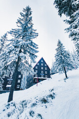 mountains ski resort in carpathian mountains